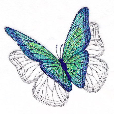 Delicate Shadows Butterfly