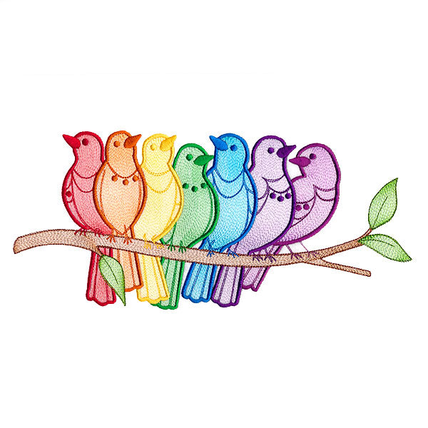 Rainbows & Tweets Bird Border