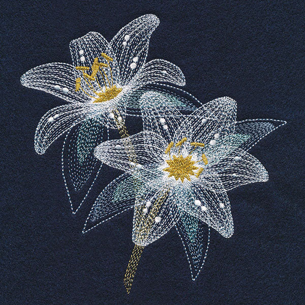 Sheer Delights Lilies