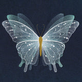 Sheer Delights Butterfly