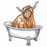Into the Bathtub Highland Cow