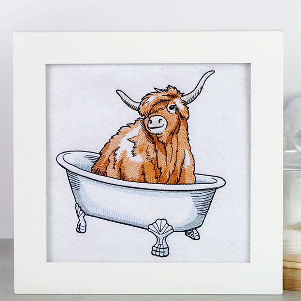 Into the Bathtub Highland Cow