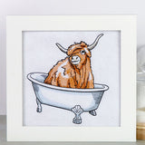 Into the Bathtub Highland Cow
