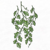 Draping English Ivy Border