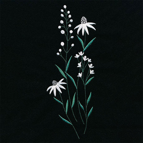 Daisies in the Summer Tall Border