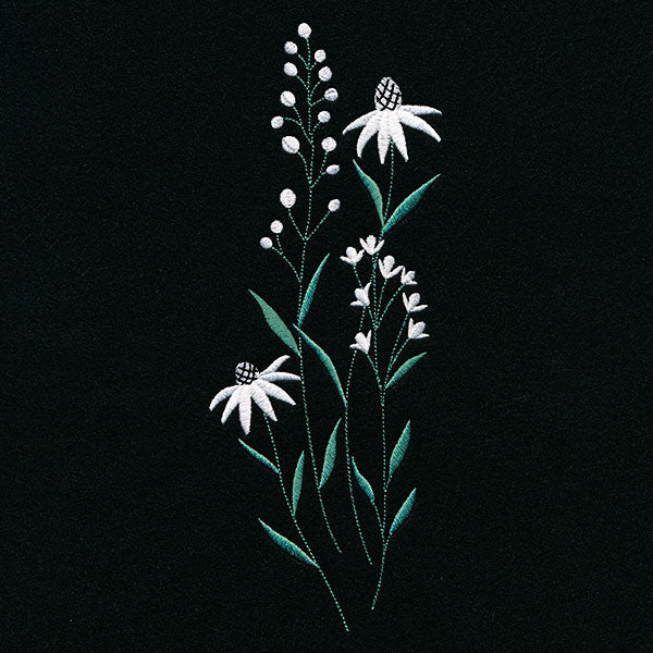 Daisies in the Summer Tall Border