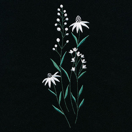 Daisies in the Summer Tall Border