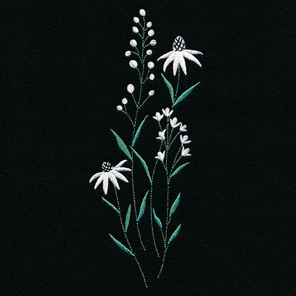 Daisies in the Summer Tall Border