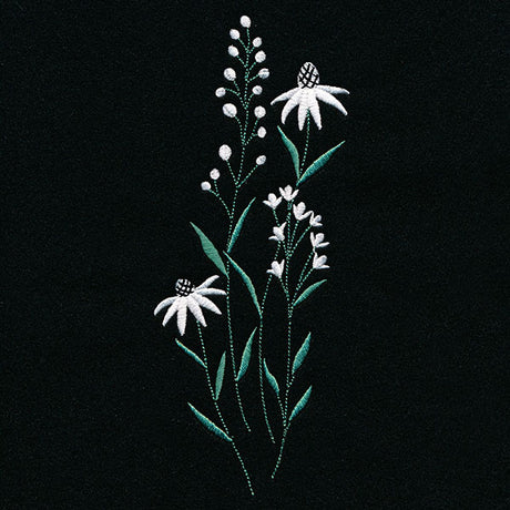 Daisies in the Summer Tall Border