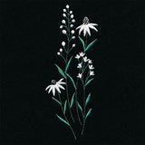 Daisies in the Summer Tall Border