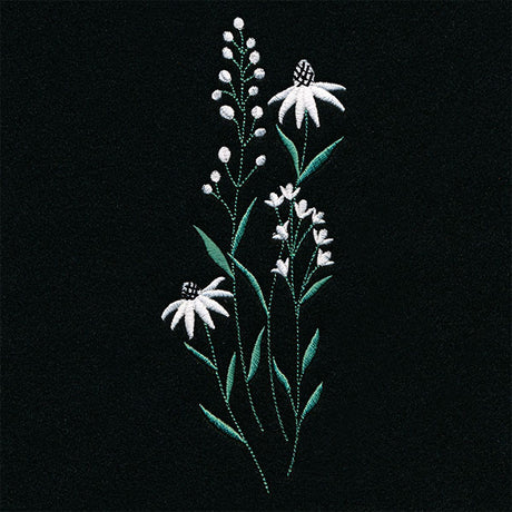 Daisies in the Summer Tall Border