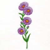 Delight and Asters Tall Border