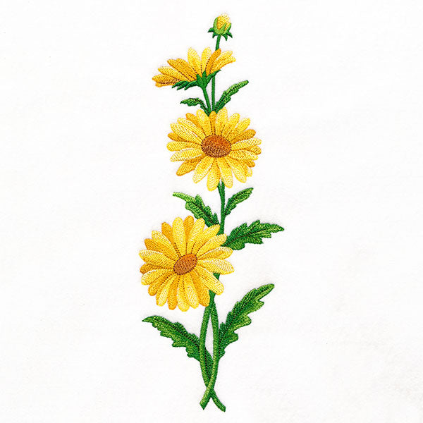 Delight and Daisies Tall Border