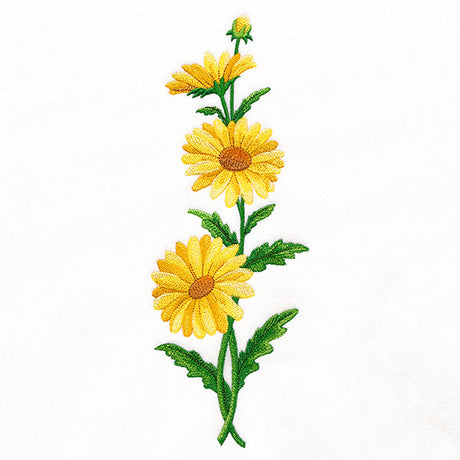 Delight and Daisies Tall Border