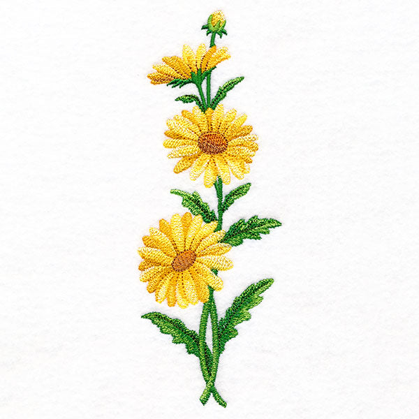 Delight and Daisies Tall Border