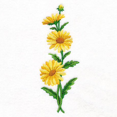 Delight and Daisies Tall Border