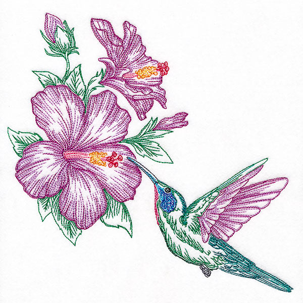 Contours of Beauty Hummingbird & Hibiscus