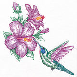 Contours of Beauty Hummingbird & Hibiscus
