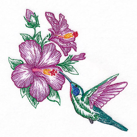 Contours of Beauty Hummingbird & Hibiscus