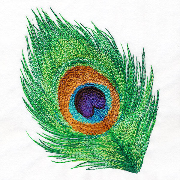 In the Eye of the Beholder Peacock Feather
