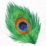 In the Eye of the Beholder Peacock Feather