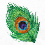 In the Eye of the Beholder Peacock Feather