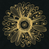 Petals and Texture Daisy