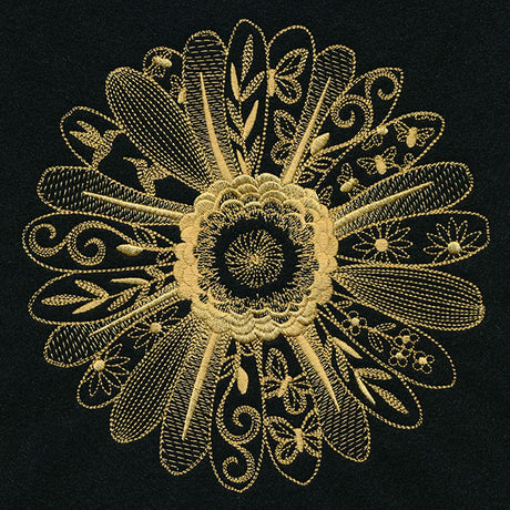 Petals and Texture Daisy