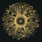 Petals and Texture Daisy