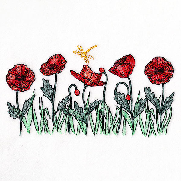 Sunshine and Poppies Border