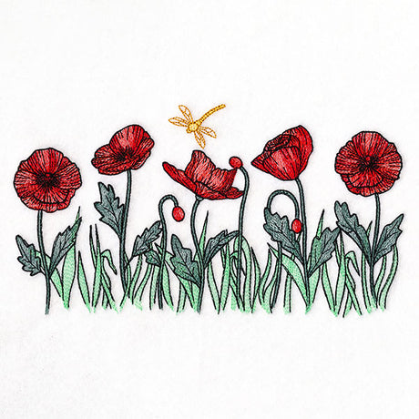 Sunshine and Poppies Border