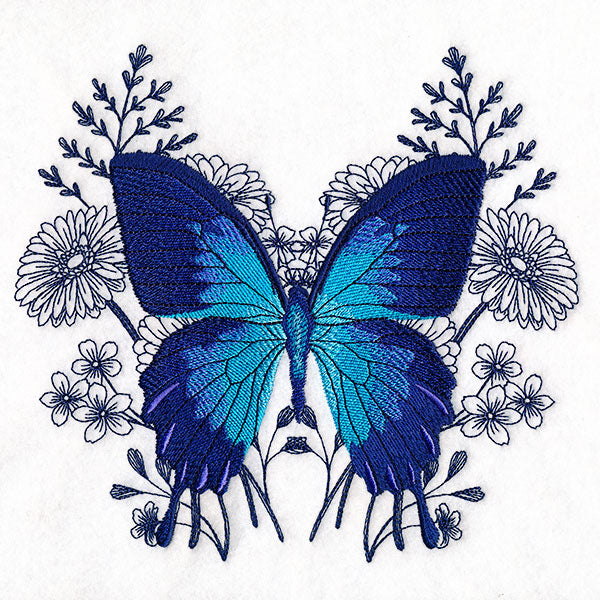 Ulysses Swallowtail Butterfly and Asters