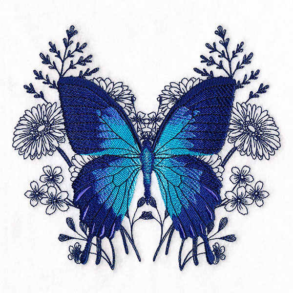 Ulysses Swallowtail Butterfly and Asters