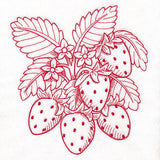 Fresh From Harvest Strawberries Etching