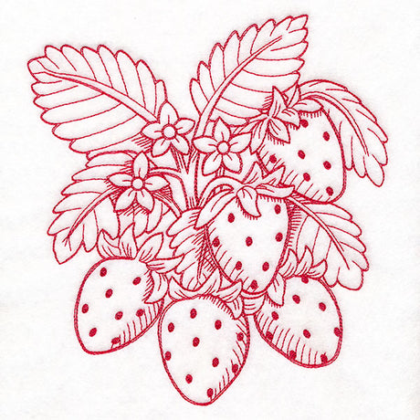 Fresh From Harvest Strawberries Etching