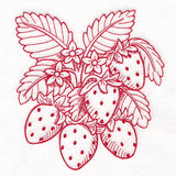 Fresh From Harvest Strawberries Etching