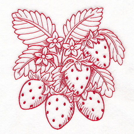 Fresh From Harvest Strawberries Etching