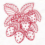 Fresh From Harvest Strawberries Etching