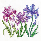 Flourish and Grow Iris Border