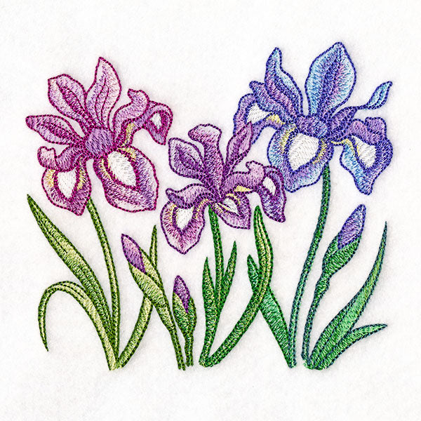 Flourish and Grow Iris Border