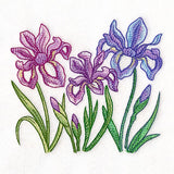 Flourish and Grow Iris Border