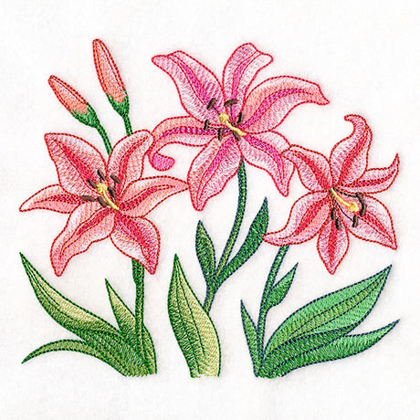 Flourish and Grow Lilies Border
