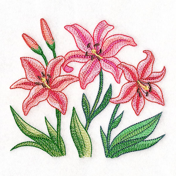 Flourish and Grow Lilies Border