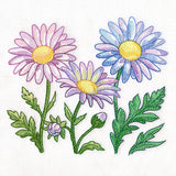 Flourish and Grow Daisies Border
