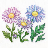 Flourish and Grow Daisies Border