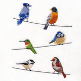 Backyard Birds on a Wire Feature