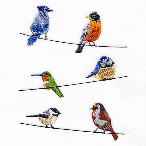 Backyard Birds on a Wire Feature