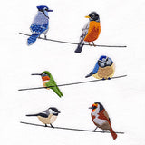 Backyard Birds on a Wire Feature