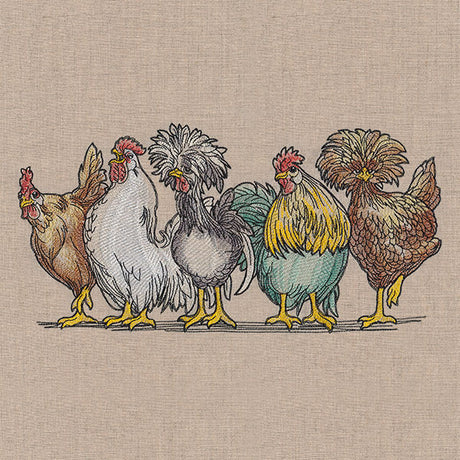 Just My Cluck Chickens Border