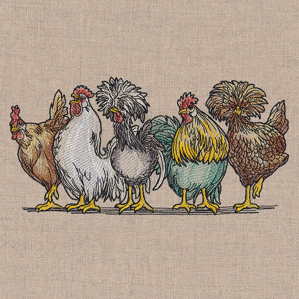 Just My Cluck Chickens Border